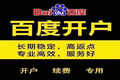 案例解析：SEM助力电商行业快速发展